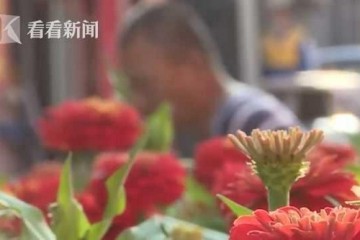 一千多万没了老人接俩电话给骗子转账100多次