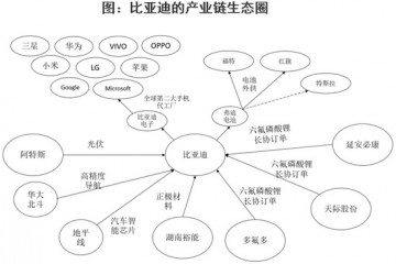 比亚迪是中国的特斯拉吗